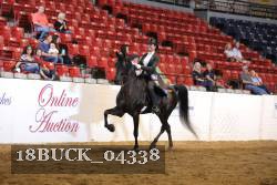 18BUCK_04338 proof