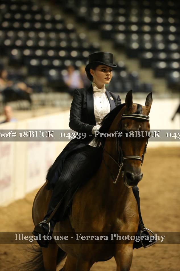 Proof 18BUCK_04339