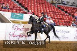 18BUCK_04340 proof