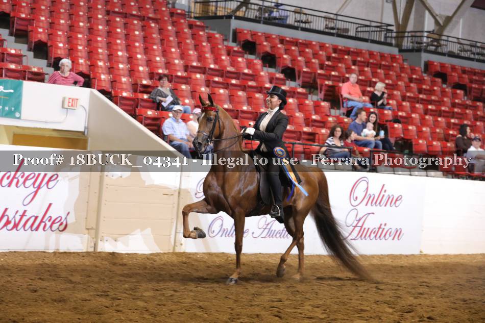 Proof 18BUCK_04341