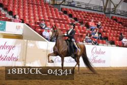 18BUCK_04341 proof