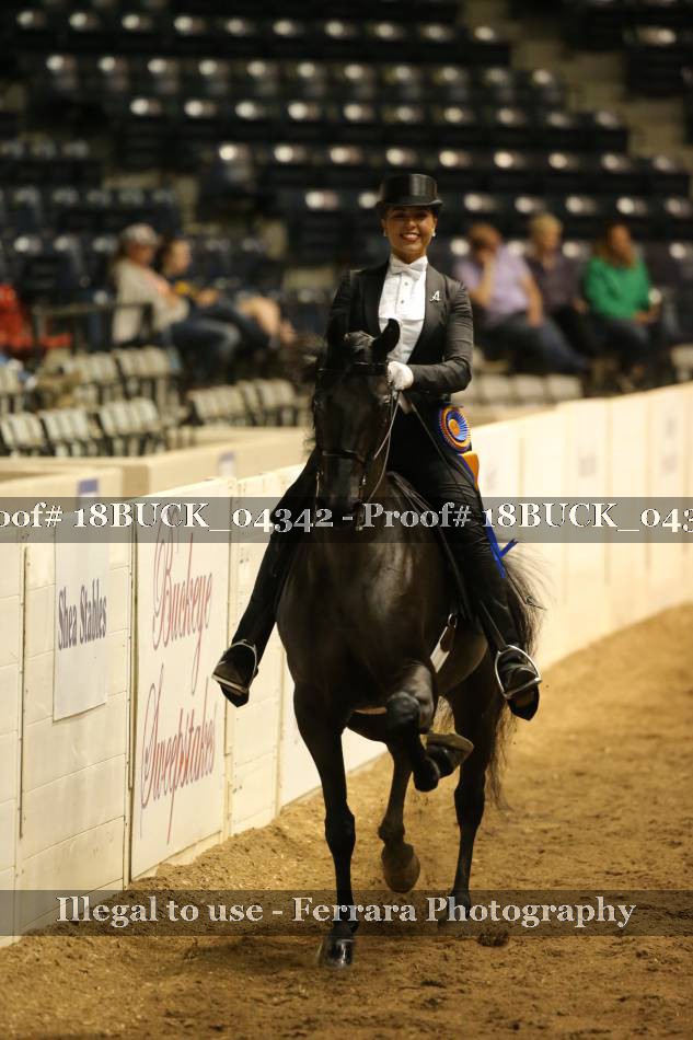 Proof 18BUCK_04342