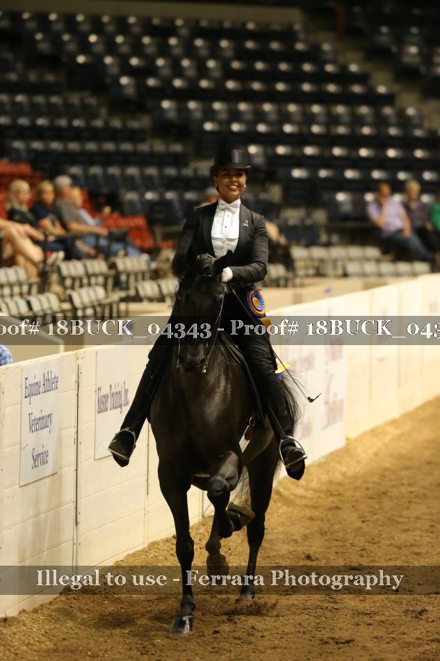 Proof 18BUCK_04343