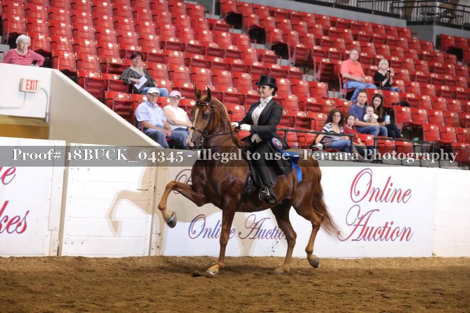 Proof 18BUCK_04345
