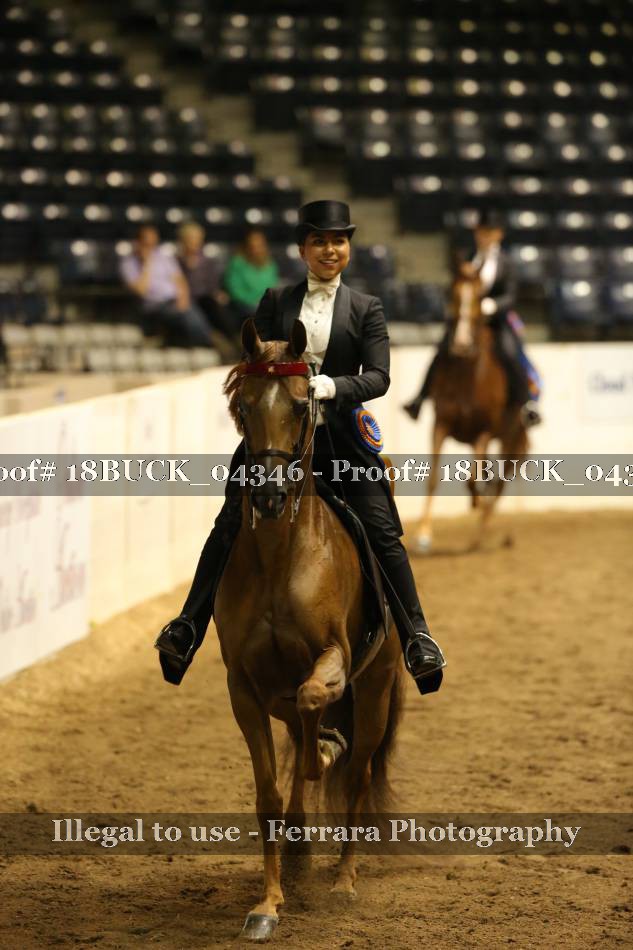 Proof 18BUCK_04346