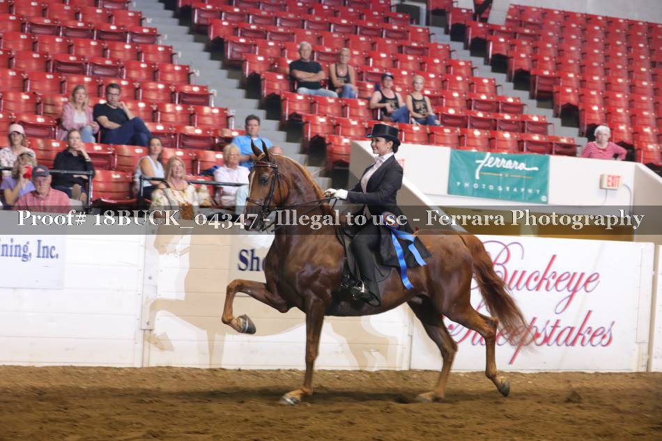 Proof 18BUCK_04347