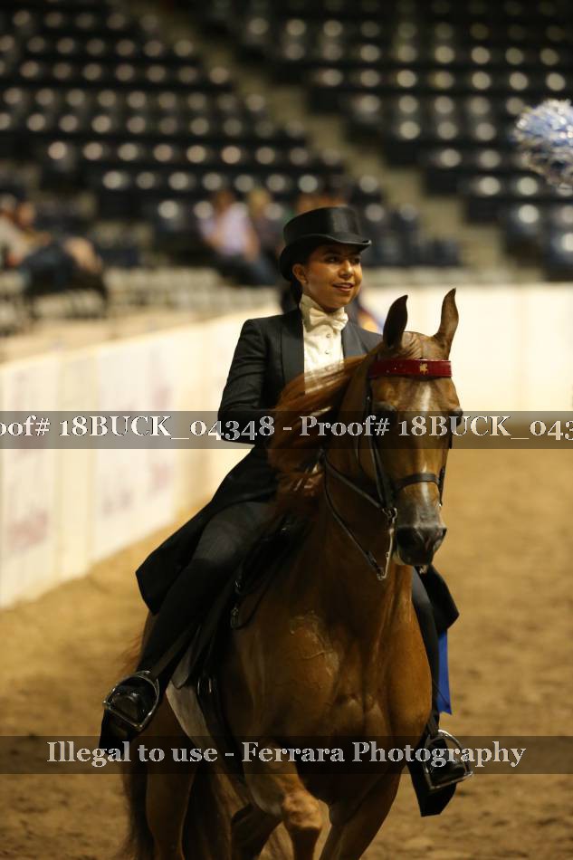 Proof 18BUCK_04348