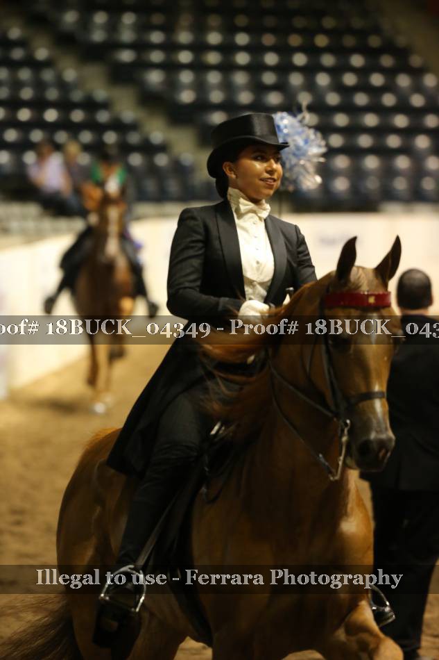 Proof 18BUCK_04349