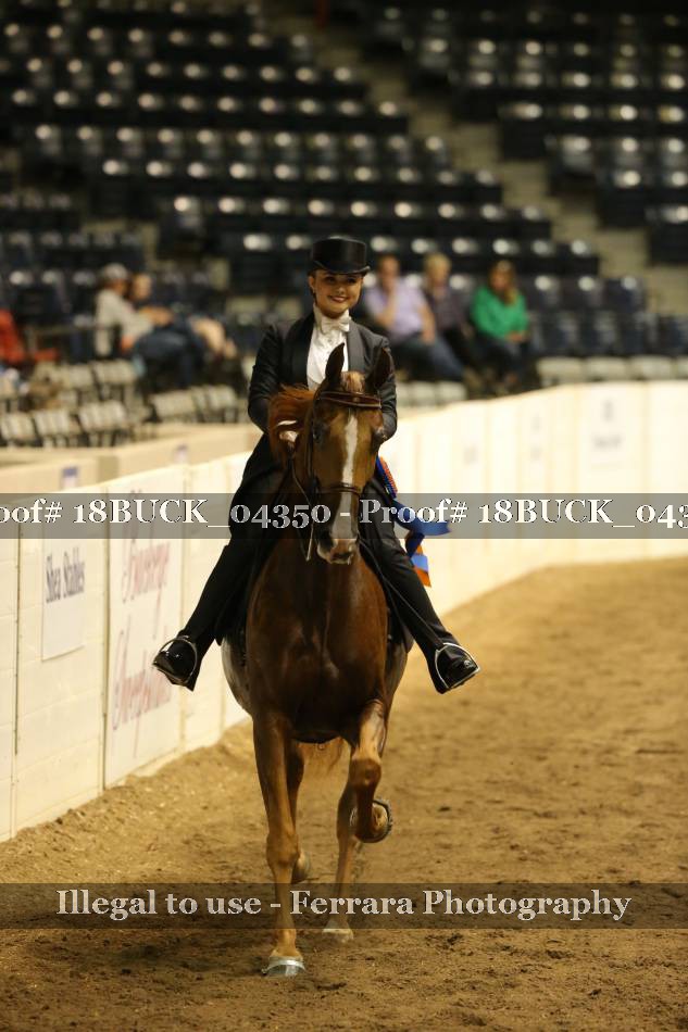 Proof 18BUCK_04350
