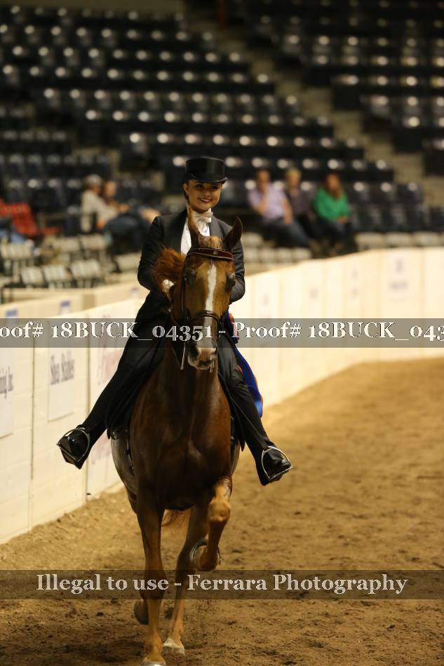 Proof 18BUCK_04351