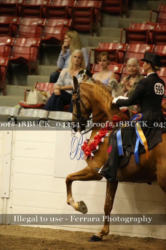 Proof 18BUCK_04354