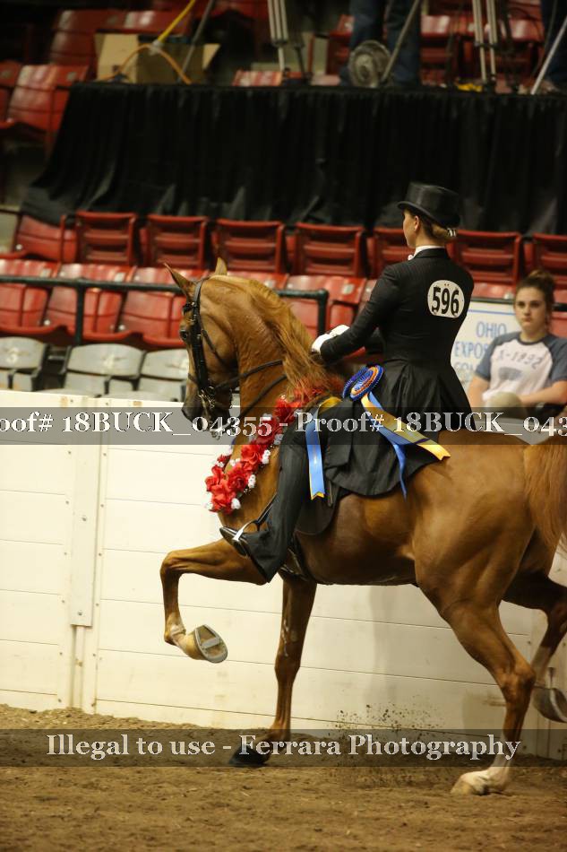 Proof 18BUCK_04355