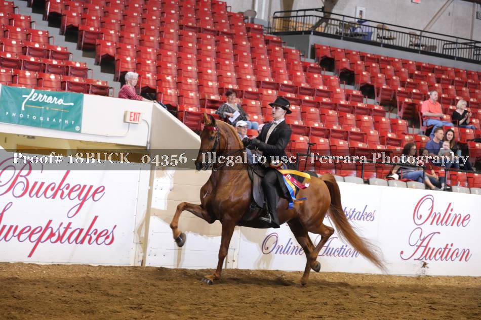 Proof 18BUCK_04356