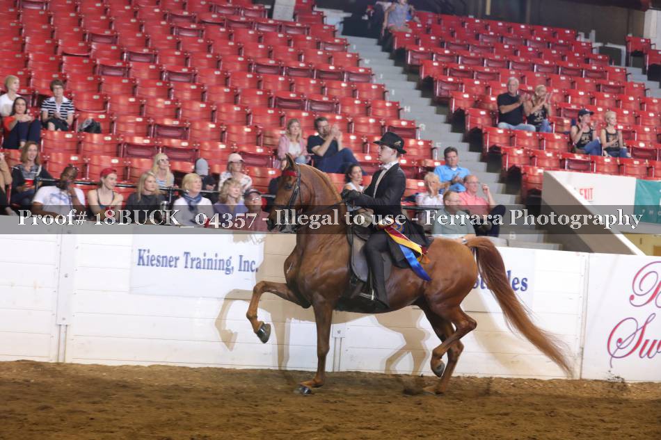 Proof 18BUCK_04357