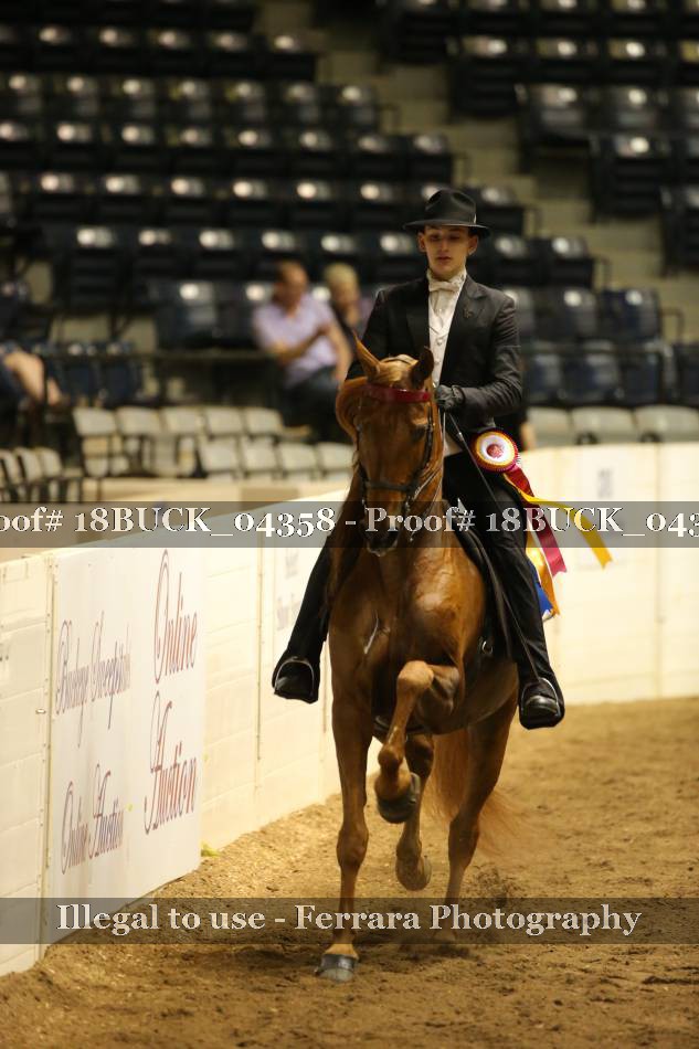 Proof 18BUCK_04358