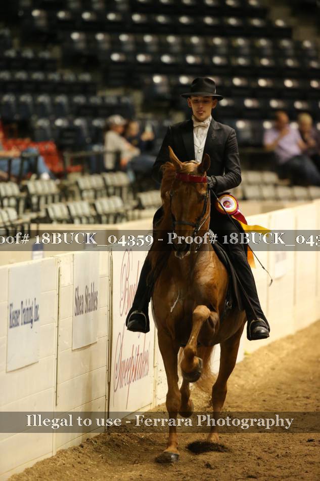 Proof 18BUCK_04359