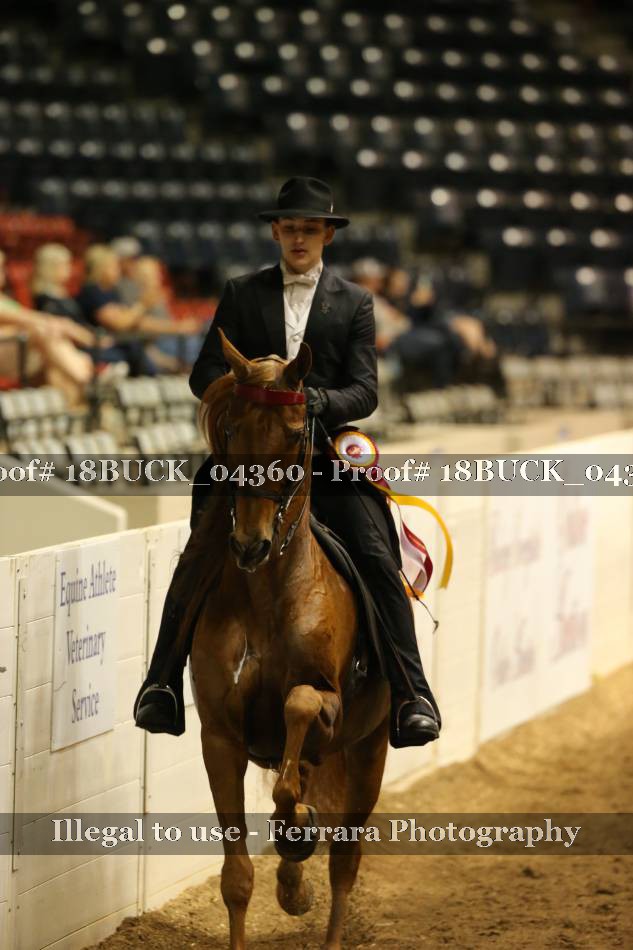Proof 18BUCK_04360