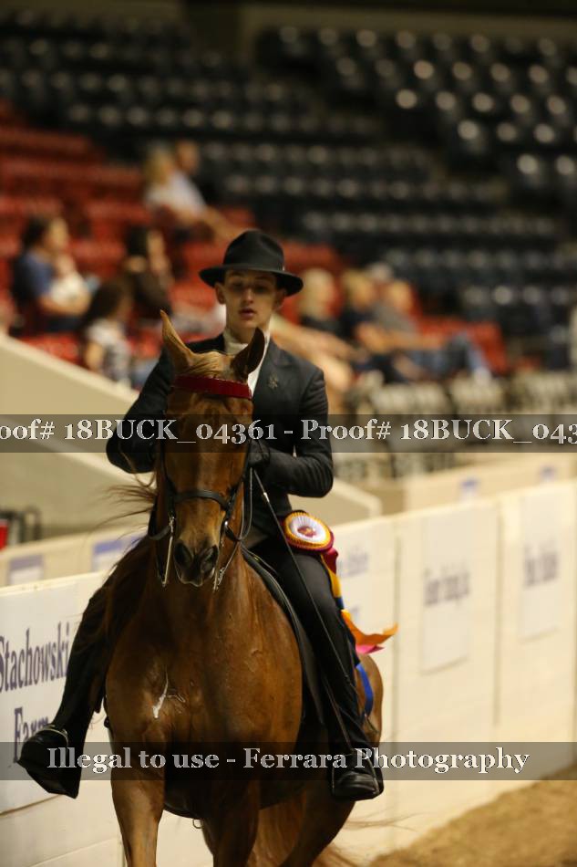 Proof 18BUCK_04361