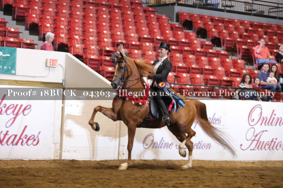 Proof 18BUCK_04363