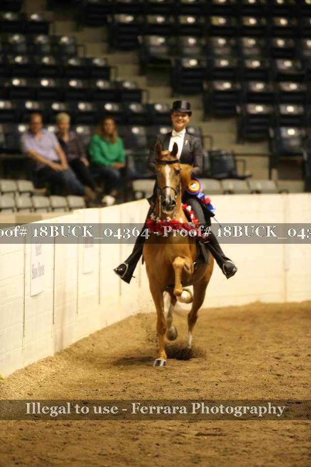 Proof 18BUCK_04364
