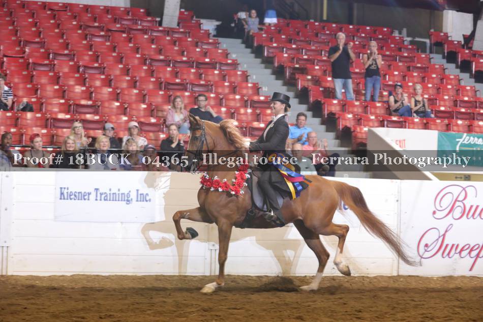 Proof 18BUCK_04365