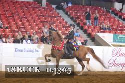 18BUCK_04365 proof