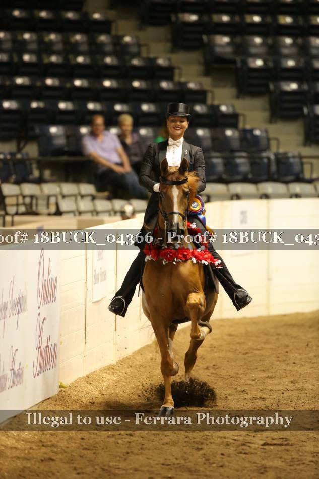 Proof 18BUCK_04366