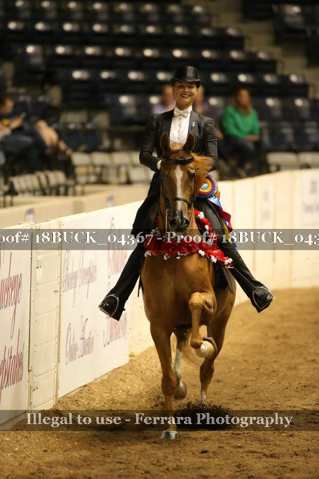 Proof 18BUCK_04367