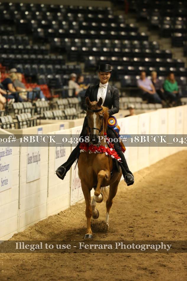 Proof 18BUCK_04368