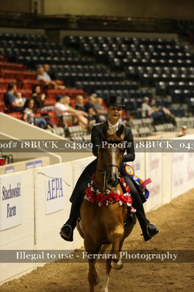 Proof 18BUCK_04369