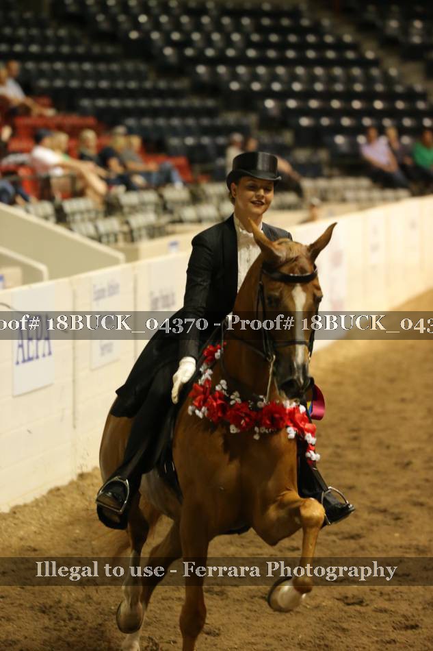 Proof 18BUCK_04370
