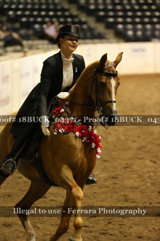 Proof 18BUCK_04371