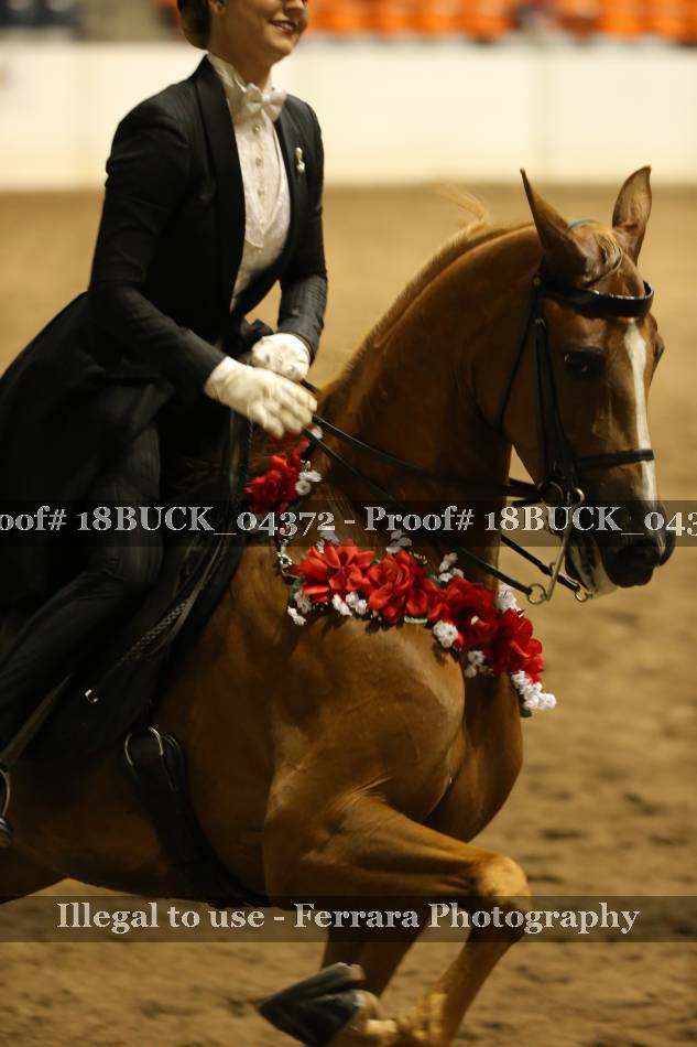 Proof 18BUCK_04372