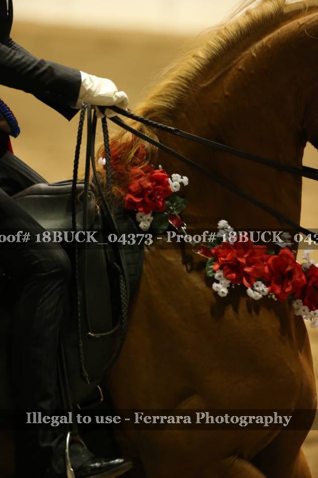Proof 18BUCK_04373
