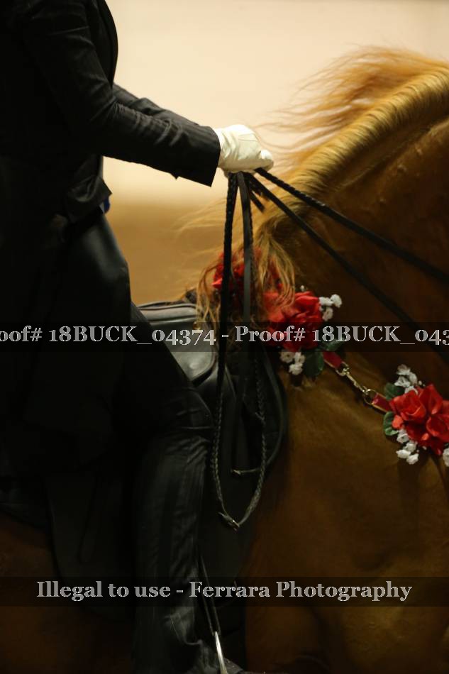 Proof 18BUCK_04374