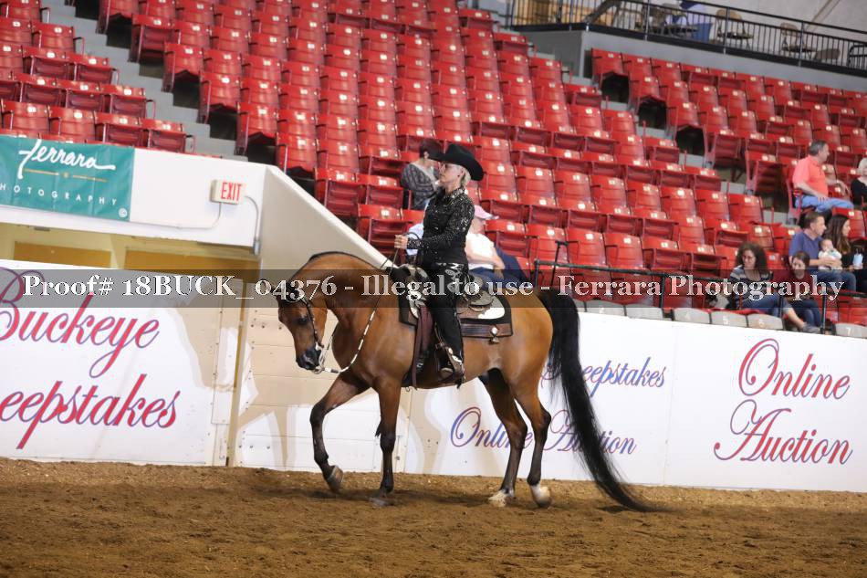 Proof 18BUCK_04376