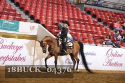18BUCK_04376 proof