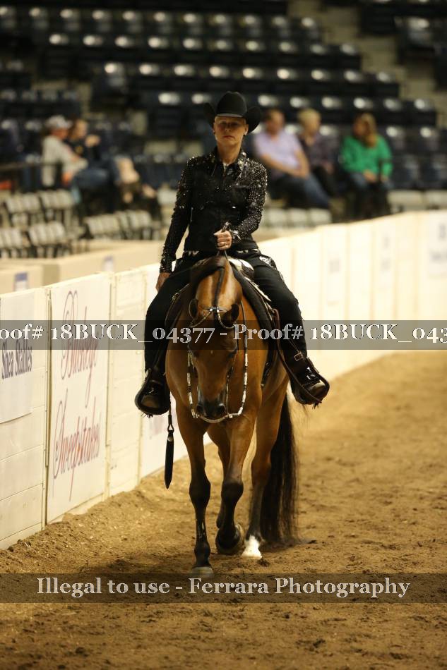 Proof 18BUCK_04377