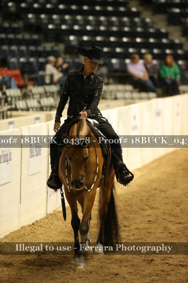 Proof 18BUCK_04378