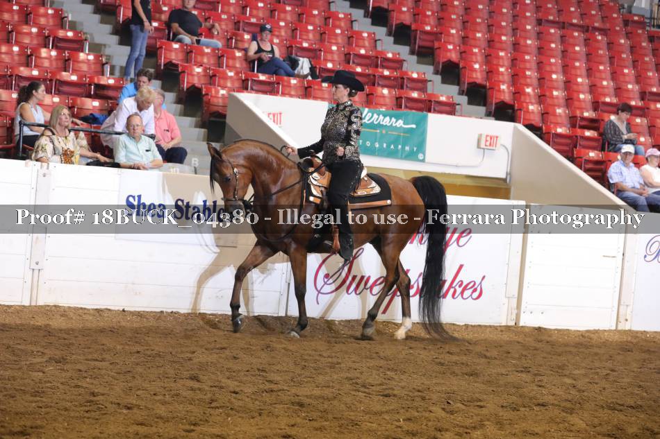 Proof 18BUCK_04380