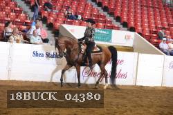 18BUCK_04380 proof