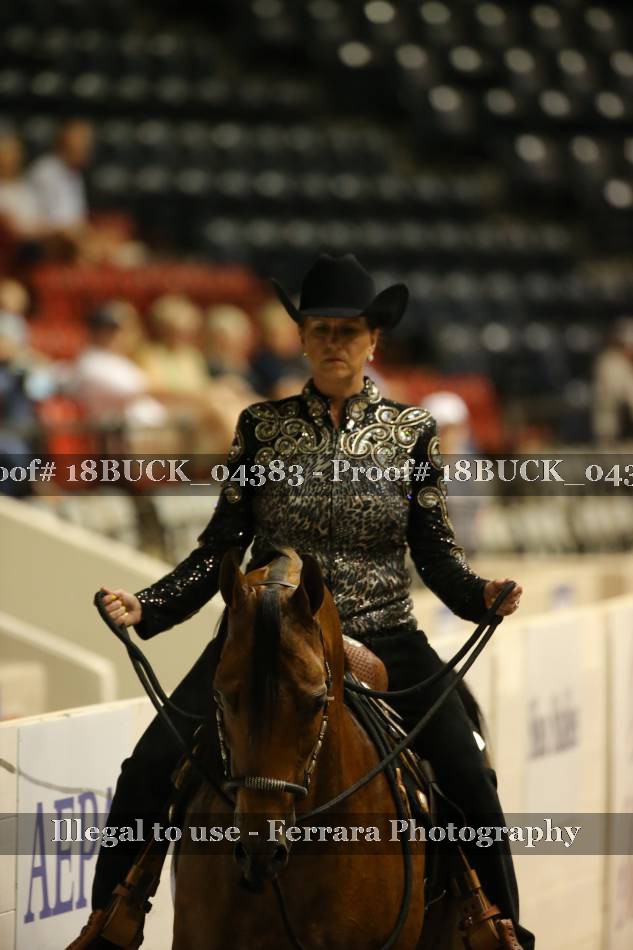 Proof 18BUCK_04383
