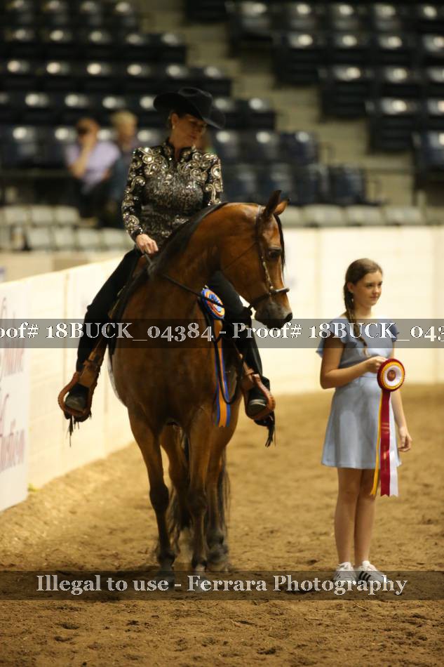 Proof 18BUCK_04384