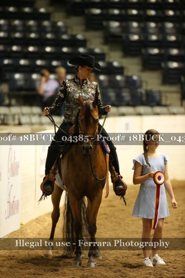 Proof 18BUCK_04385
