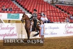 18BUCK_04386 proof