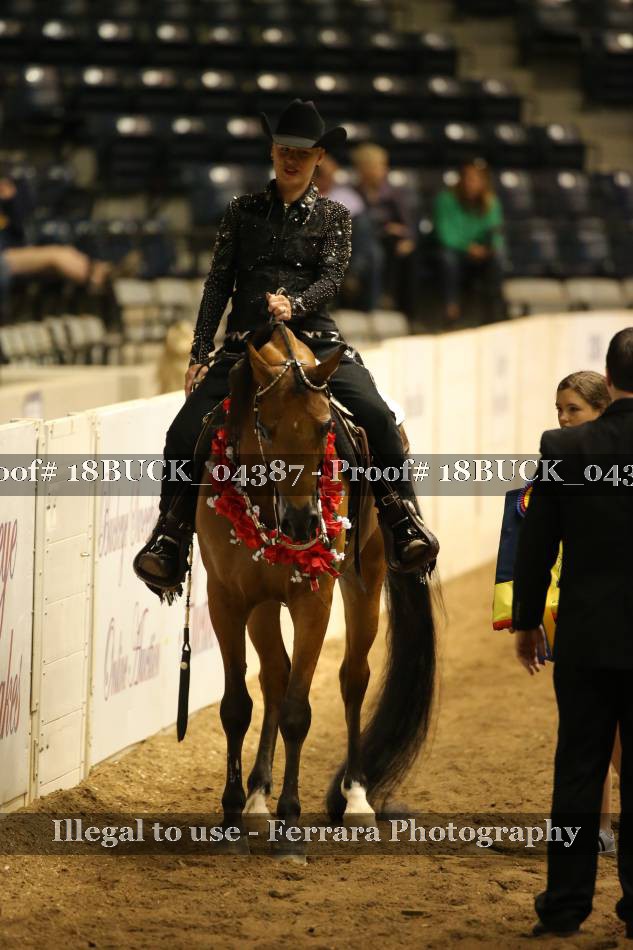 Proof 18BUCK_04387