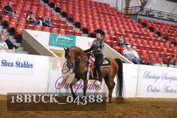 18BUCK_04388 proof