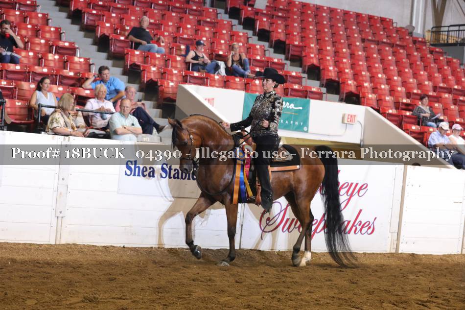 Proof 18BUCK_04390