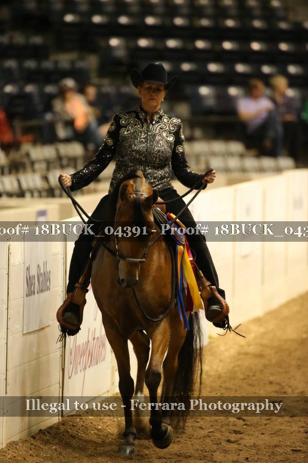 Proof 18BUCK_04391