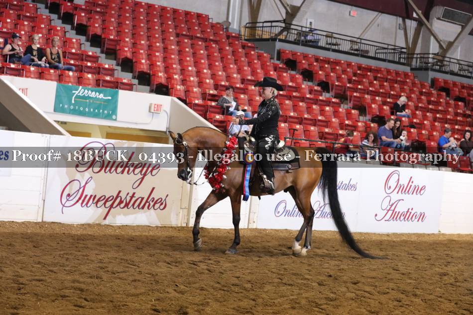 Proof 18BUCK_04393
